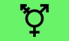 以色列跨性别旗帜