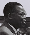 Image 30The leader of ABAKO, Joseph Kasa-Vubu, first democratically elected President of Congo-Léopoldville (from Democratic Republic of the Congo)