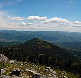 Le Langenberg (881m) depuis le Rocher de Mutzig (1010m)[56].