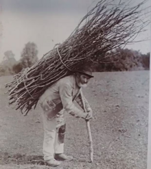A man with a thick bundles of sticks on his back