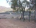 Lake Eildon from Merlo's Lookout in early 2007, showing one of the boat ramps now clear of the water.