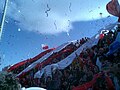 Supporters du Nea Salamina