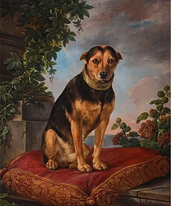 Henri Van Assche, Portrait of a dog, seated on a red cushion, 1801