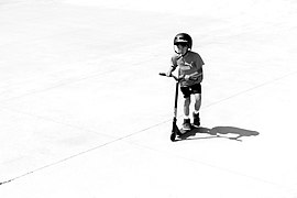 Solitary Scoot