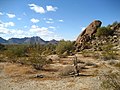Image 23The Sonoran Desert 35 miles (56 km) west of Maricopa, Arizona (from Geography of Arizona)