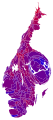 2006 Cartogram of the vote with each municipality rescaled in proportion to the number of valid votes. Deeper blue represents a relative majority for Alliance for Sweden, brighter red represents a relative majority for the Red-Green bloc.