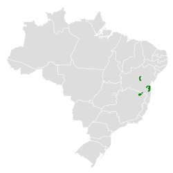 Distribución geográfica del pijuí de Bahía.