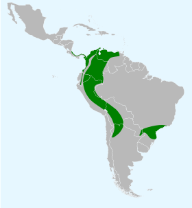 Distribución geográfica del hocó oscuro.