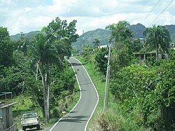 View of Puerto Rico Highway 567 in Vaga