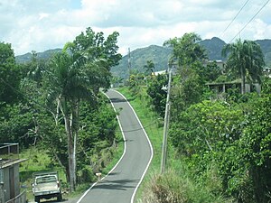 Puerto Rico Highway 567 in Vaga barrio