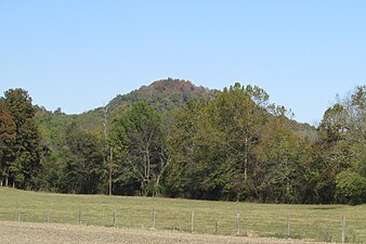 Vinyard Knob (high point 960') in the central portion of the Knobs Region of Kentucky