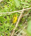 In Everglades National Park.