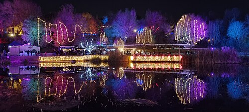 פסטיבל "Winter Lights" בגן הבוטני, דצמבר 2021