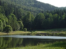 Small artificial lake in Złoty Las