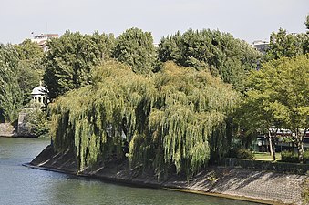 Pointe nord-est de l'île (île de la Jatte en arrière-plan).