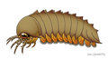 Image 15Reconstruction of Mollisonia plenovenatrix, the oldest known arthropod with confirmed chelicerae (from Chelicerata)