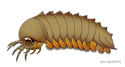 Mollisonia plenovenatrix モリソニア・プレノヴェナトリクス