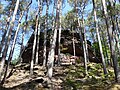 Aussichtsfels am Hahnberg