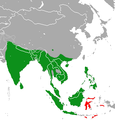 Distribution : * Vert : Native * Rouge : introduite.