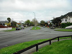 California Drive in Tōtara Park, built extra wide to keep houses away from the Wellington Fault that runs under it.