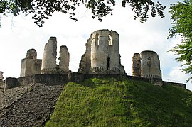 Ruins of the chateau