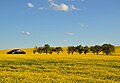 Spring in Autrécourt-sur-Aire