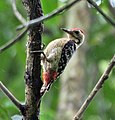 At Narendrapur near Kolkata, West Bengal, India.