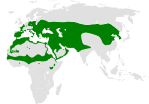 Approximate range in green shown on a map of the world