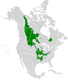 Carte de répartition du Laquaiche aux yeux d'or