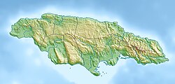 Brown's Town is located in Jamaica