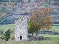 Cabanon étroit, construit en hauteur, isolé dans un champ. Un arbre pousse contre lui.