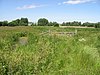 Preston Marshes