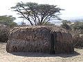 Maasai house in Tanzania