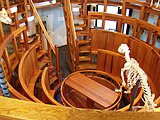 Reconstruction of the anatomical theatre (1988)