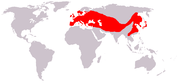 Aire de répartition du Corbeau freux