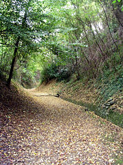 Côte de Brille, première voie d'accès à Saint-Sever[4],[Note 1].