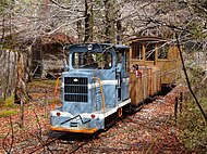 同公園で保存運転中の谷村式機関車