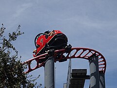 Tarántula à Parque de Atracciones de Madrid