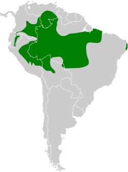 Distribución geográfica del batará hombroblanco.