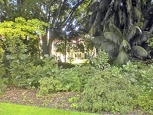 The Geology building seen through the Grove