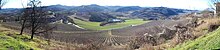 Vista panoramica dal vigneto del Castello di Gabiano.