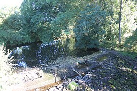 Le Bois-Chaudeau (ancien moulin).