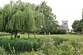 View across Cornmill Stream towards Waltham Abbey