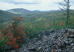 En el suroeste de las montañas Verkhoyansk