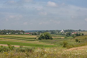 Вигляд на село Шманьківчики