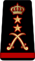 Admiral (فريق أول)} Kuwait Naval Force