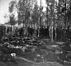 Aftermath of the massacres at Erzurum (1895)