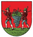 Escudo de Wiennhaus, Viena