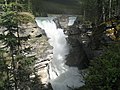 Flowing through the Athabasca Falls