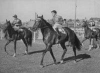 Bernborough, 1946 winner